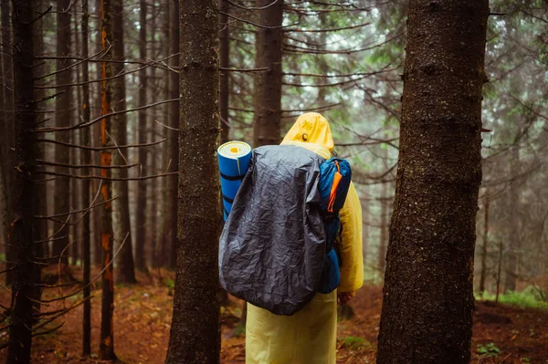 バックパック付きのレインコートを着た男性観光客の背中は 森の中の歩道の雨の中に行きます — ストック写真