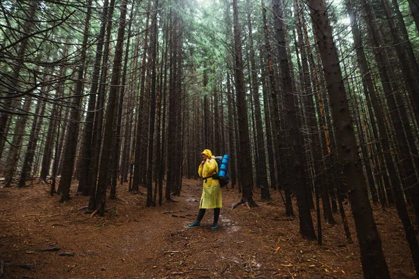 レインコートを着た男性観光客と木々の間の熱帯雨林の道に立つバックパック付き — ストック写真