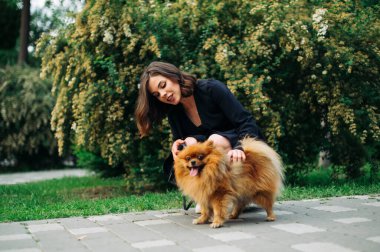 Tasmalı küçük bir köpeği olan güzel bir kadın parkta evcil bir hayvanla oynuyor..