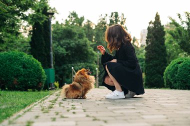Esmer kadın parkta bir patikada oturuyor ve Pomeranian Spitz adında şirin bir köpekle oynuyor..