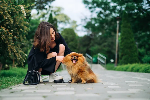 Szczęśliwa Kobieta Właściciel Pies Bawi Się Zwierzętami Parku Spacery Rasy — Zdjęcie stockowe