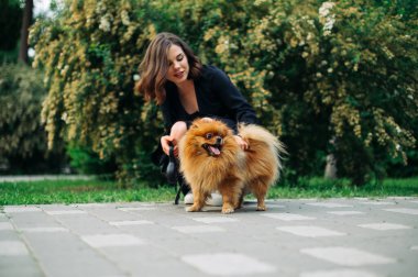 Güzel bir kadın parkta oturmuş tasmalı turuncu bir köpeği okşuyor..