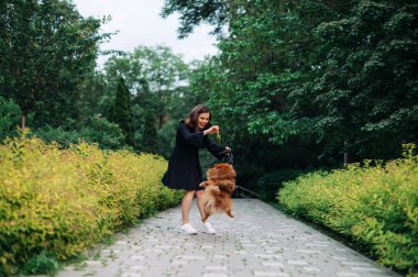 Koyu renk elbiseli güzel esmer kadın parkta sevimli bir köpekle oynuyor, evcil hayvan zıplıyor..