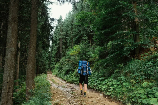 Escursionista Maschio Con Uno Zaino Cammina Sentiero Forestale Montagna Vista — Foto Stock