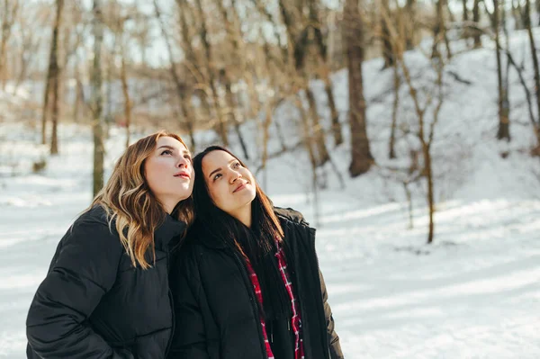Δύο Όμορφες Γυναίκες Στέκονται Ένα Χειμερινό Χιονισμένο Πάρκο Και Κοιτάζουν — Φωτογραφία Αρχείου
