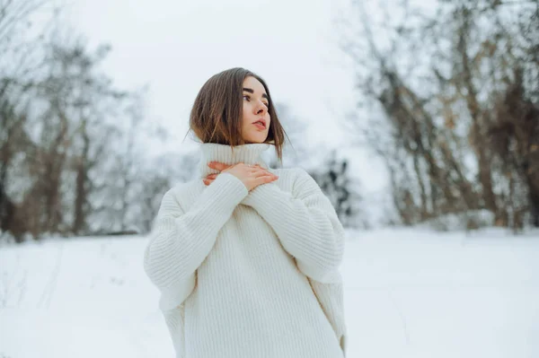 Schöne Mädchen Einem Weißen Strickpullover Posiert Einem Verschneiten Winterpark Und — Stockfoto