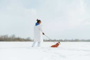 Karlı bir arazide küçük sevimli bir köpekle yürüyen pozitif bir bayan sahibi. Evcil bir hayvanla kış yürüyüşçüleri.