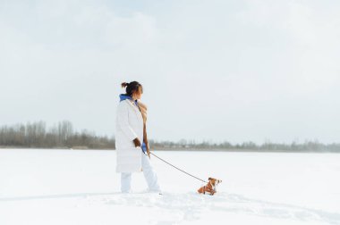 Bir kadın, donmuş bir gölde köpek Jack Russell 'ı gezdirir. Karda bir köpekle oynar..