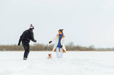 Mutlu adam ve kadın buz tutmuş gölde yürürken tatlı köpek Jack Russell 'la eğleniyorlar.