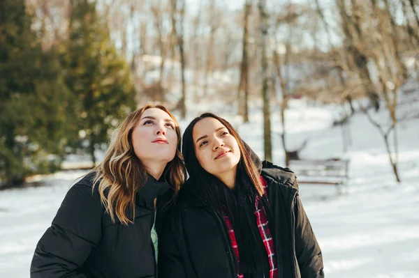 Duas Mulheres Bonitas Roupas Casuais Quentes Ficam Parque Nevado Durante — Fotografia de Stock