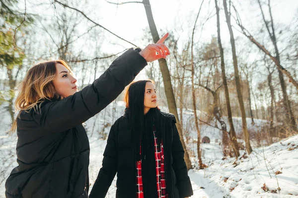 Two Beautiful Women Casual Clothes Stand Snowy Park Walk Girl — Zdjęcie stockowe