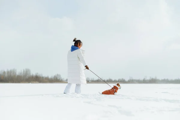 Positive Female Owner Walking Cute Little Dog Snowy Field Winter — Fotografia de Stock