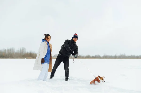 Beautiful Couple Walking Cute Little Dog Leash Winter Snow Smile — Stockfoto