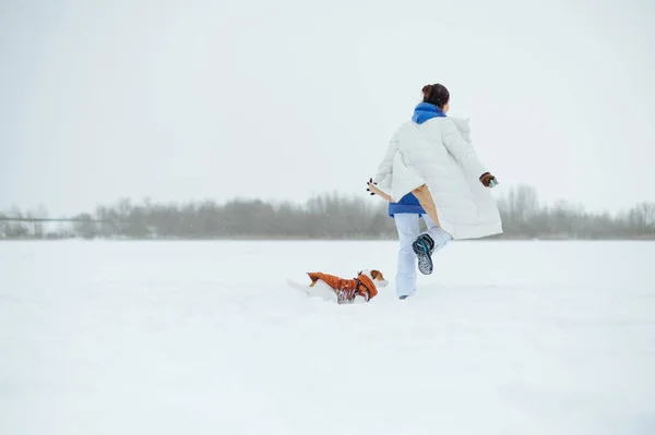 Женщина Белом Тёплом Пиджаке Бегает Собакой Породы Джеком Расселом Замерзшему — стоковое фото