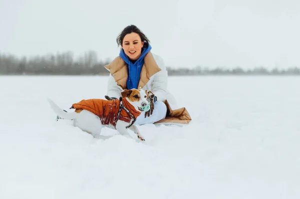 Happy Owner Warm Clothes Plays Ball Little White Dog Clothes — Stock Photo, Image