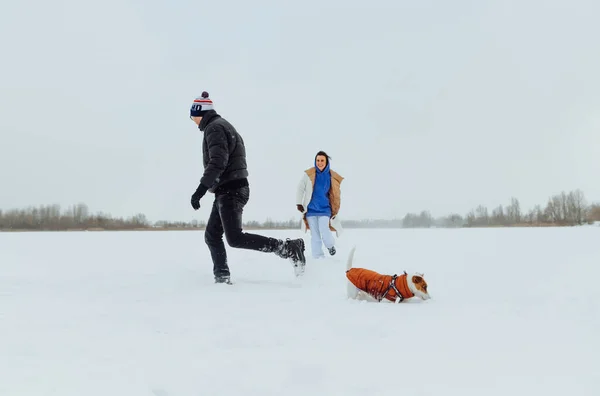 Θετική Οικογένεια Χαριτωμένο Σκυλί Jack Russell Έχει Διασκέδαση Μια Χειμερινή — Φωτογραφία Αρχείου