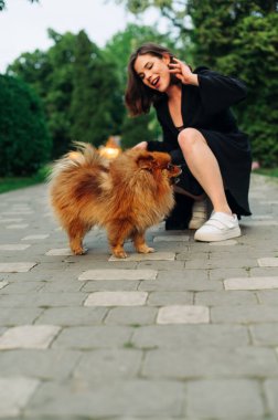 Tatlı turuncu köpeği olan pozitif kadın sahibi parkta vakit geçiriyor. Dikey