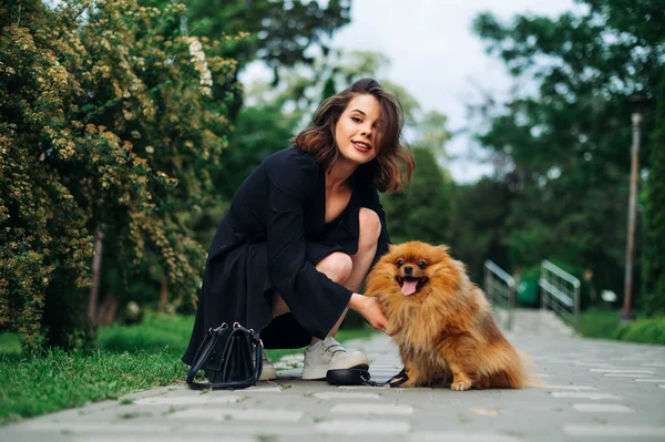 Attraktiv Snygg Kvinna Sitter Gångväg Parken Med Söt Pommerska Spitz — Stockfoto