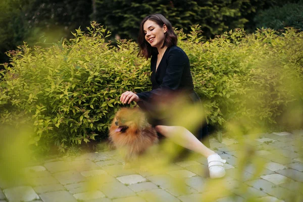 Positive Beautiful Woman Casual Clothes Sitting Park Cute Little Dog — Stock Photo, Image