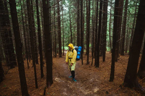 Caminante Impermeable Amarillo Con Una Mochila Espalda Encuentra Sendero Bosque — Foto de Stock