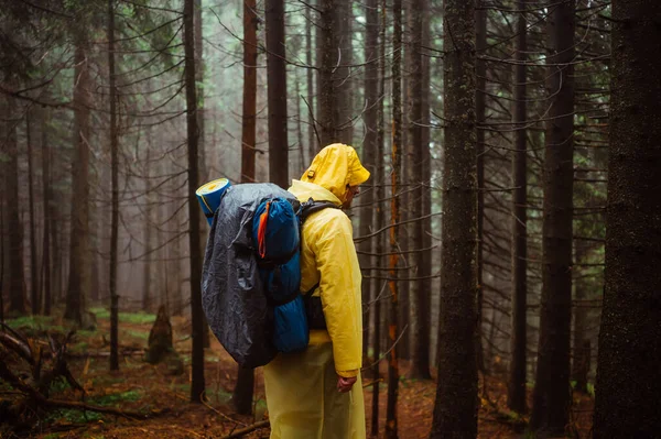 レインコートを着た男性観光客と彼の背中にバックパック付き雨林の中に立って離れて見て — ストック写真