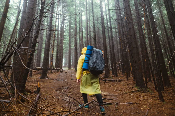 Male Hiker Raincoat Backpack His Back Walks Trail Hiking Mountains — Stock Photo, Image