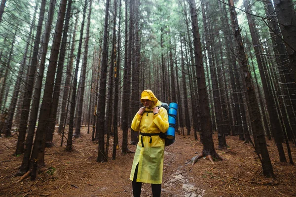 비옷을 등산을 관광객의 내리는 우기에 침엽수 나무줄기를 배경으로 — 스톡 사진