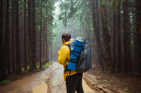 Man Hiker Backpack Back Walks Mountain Road Rainy Weather Woods — Stock Fotó