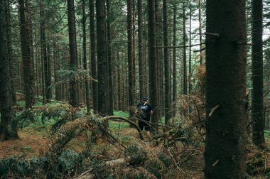 Male hiker with a backpack urinates in the forest in the mountains during a hike.