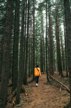 Female tourist is walking along forest paths in the mountains, wearing bright orange clothes.