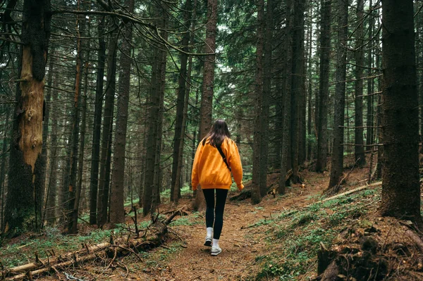 Woman Tourist Orange Sweatshirt Walks Path Mountain Forest Back View — 스톡 사진