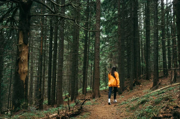 Photo Back Female Tourist Walking Forest Path Mountains Hike — 스톡 사진