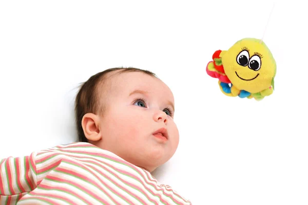 Nace baby tenere d'occhio il giocattolo polpo Immagine Stock