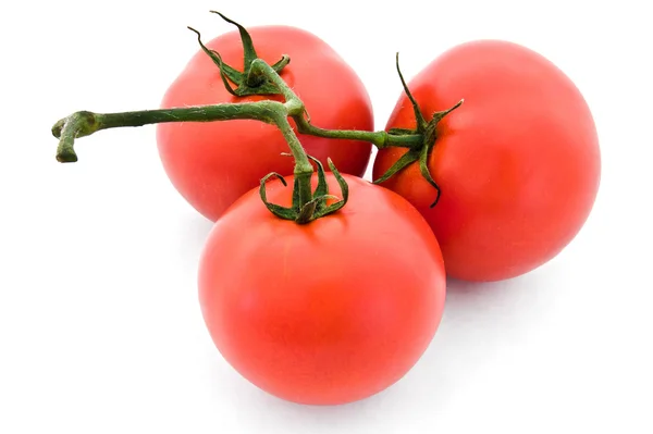 Rijpe rode tomaten — Stockfoto