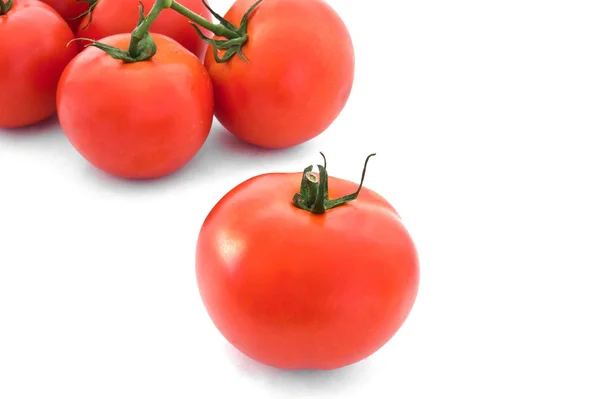 Rijpe rode tomaten — Stockfoto
