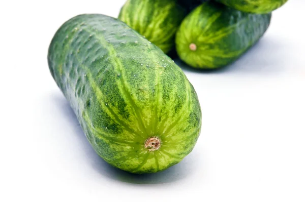 Fresh cucumbers — Stock Photo, Image