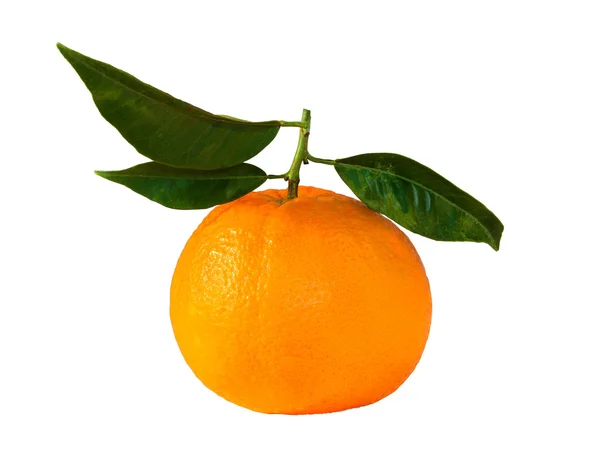 Beautiful, ripe oranges — Stock Photo, Image