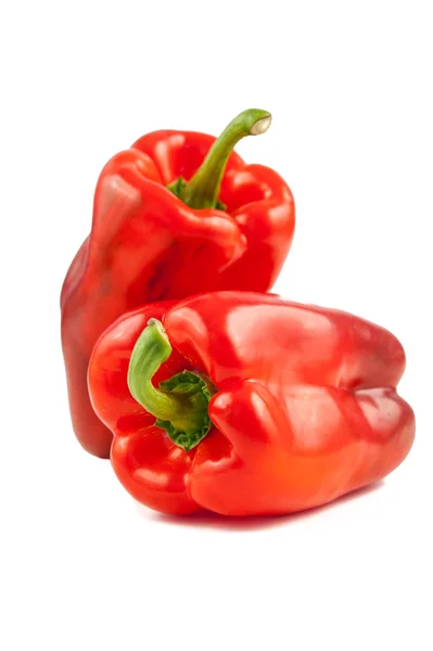 Pimiento maduro grande — Foto de Stock