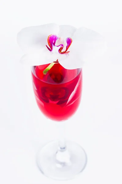 Verre avec du vin rouge et une orchidée — Photo