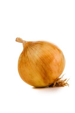 Soğan