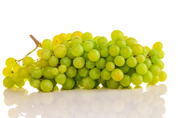 Hermosas uvas verdes maduras —  Fotos de Stock
