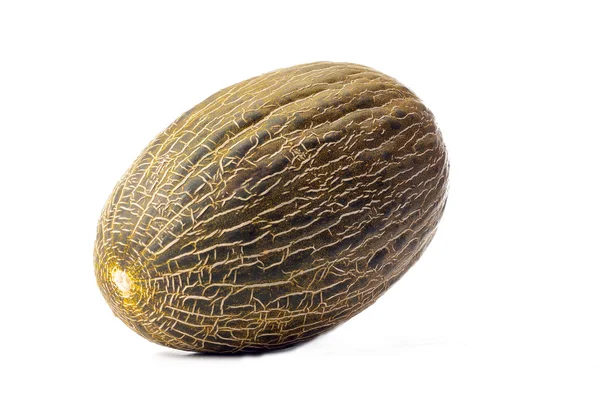 Velký meloun — Stock fotografie