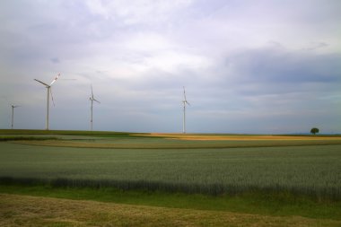 Yeşil gelecekteki umudumuz