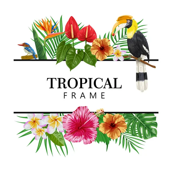 Frame Hornbill Tropical Plants Illustration — Image vectorielle