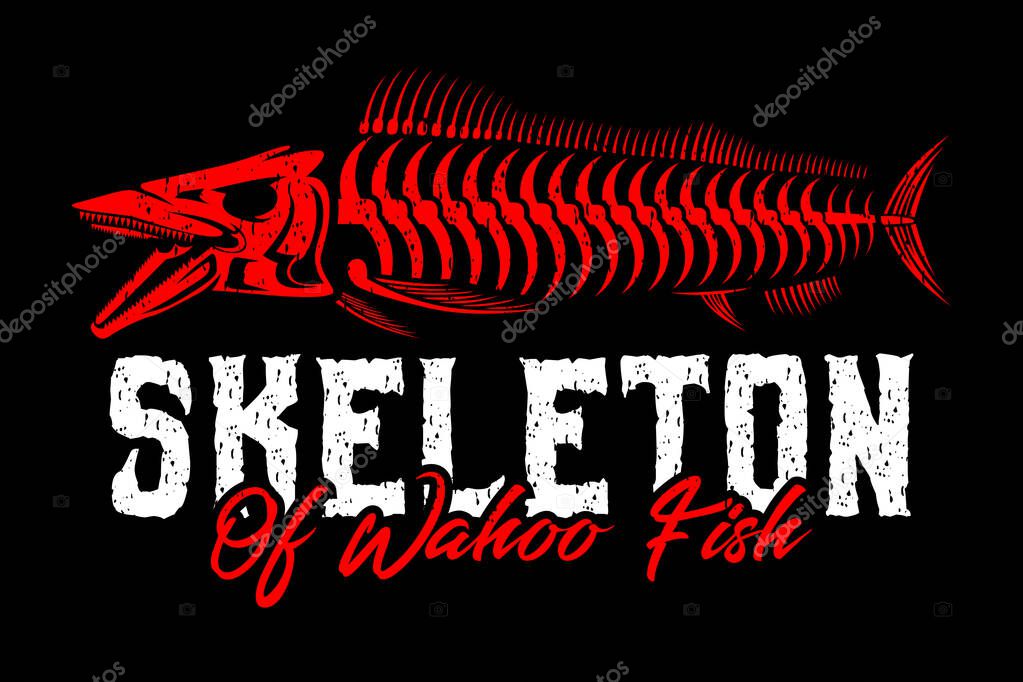 Wahoo fish skull skeleton in modern vintage rustic logo design style template on black dark background vector illustration