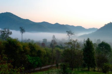 Orman, Dağ, Ratchaburi Eyaleti, Tayland 'da Misty