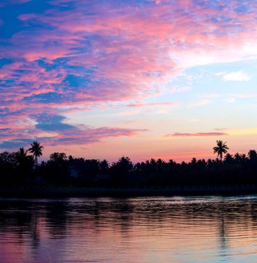 Tayland ormanındaki Riverside Ormanı