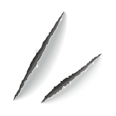 Torn sheets of paper. Torn paper strips. Paper ripped. Teared paper. Vector illustration.