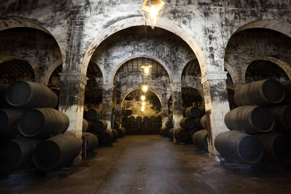 Ancient wine cellar with wooden wine barrels — Stock Photo, Image