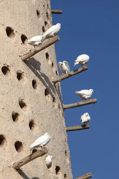 Pigeon tower in Doha, Qatar Middle East — Stock Photo, Image